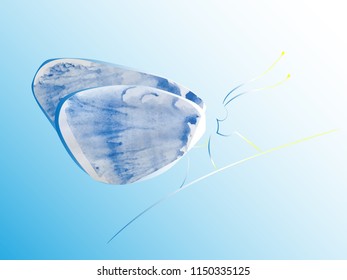 logo in the form of a stylized butterfly sitting on a blade of grass, created from a watercolor stain in different versions