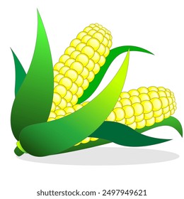 logo, fresh, plant, cob, food, maize, leaf, natural, green, harvest, organic, grain, farm, agriculture, corn, nature, summer, background, object, sweet, illustration, field, sweetcorn, raw, corncob, r