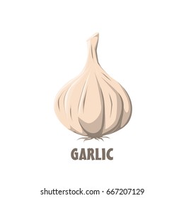 Logo Garlic vector farm design