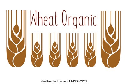 Logo with grain ears for the food, grain company. The label for registration of goods at a fair, pastries, bakeries. The stylized ears of wheat, a rye, oats for beer. Vector illustration.