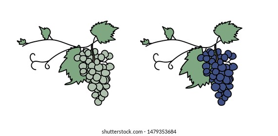 logo of grapes - white and dark. Grape icon