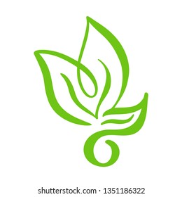Logo of green leaf of tea. Ecology nature element vector icon tree. Eco vegan bio calligraphy hand drawn illustration