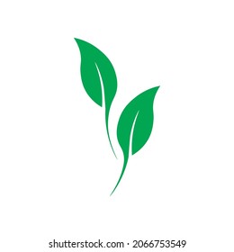 Logo Green Leaves Design Vector Stock Vector (Royalty Free) 2066753549 ...