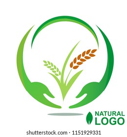 Logo Green Natural design vector EPS 10