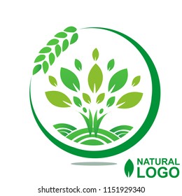 Logo Green Natural design vector EPS 10