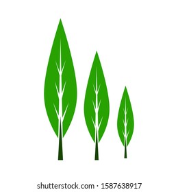 logo Green Tea Vector Illustration Design