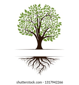 Logo of a green tree with roots and leaves. Vector illustration icon isolated on white background.