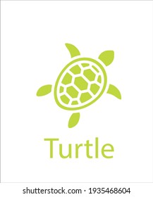 a logo of green turtle