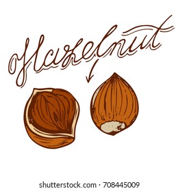 logo of the hazelnut in retro style with a name drawn by hand in retro styles