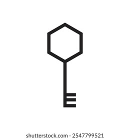Logo hexagon key unique design minimalist with blank background
