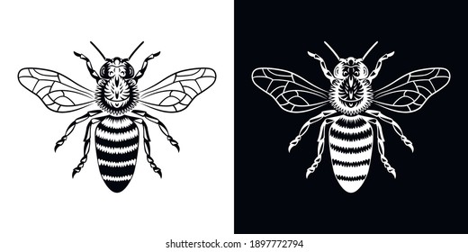 
logo for honey, detailed wasp, bee