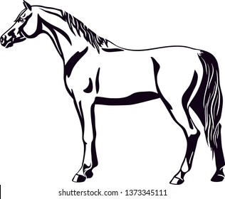 Logo of a horse standing still, side view