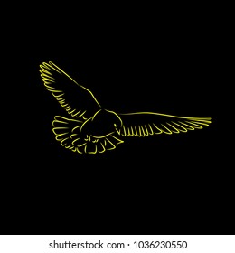 logo or icon bird template