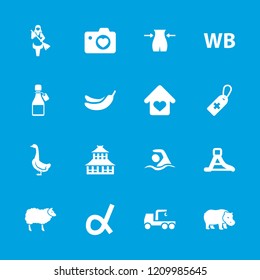 Logo icon. collection of 16 logo filled icons such as goose, temple, slim, banana, medical cross tag, heart with camera, waterslide. editable logo icons for web and mobile.