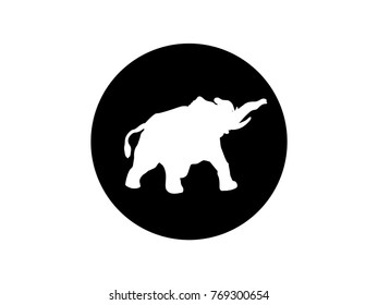 Logo and Icon elephant isolate on white background.