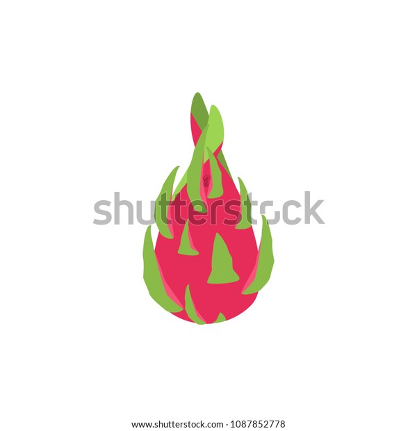 Logo Icon Pitaya Stock Vector (Royalty Free) 1087852778 | Shutterstock