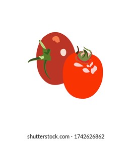 logo icon vegetables unique tomato