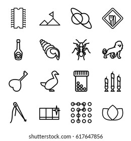 Logo icons set. set of 16 logo outline icons such as lion, ant, goose, lotus, clean window, champagne bottle with heart, heart key, candle, restaurant, mountain, shell, cpu