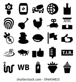 logo icons set. Set of 25 logo filled icons such as buffalo, chicken, mouse toy, spa stones, hair removal, pool, concrete mixer, ice cream in can, water hose, raspberry