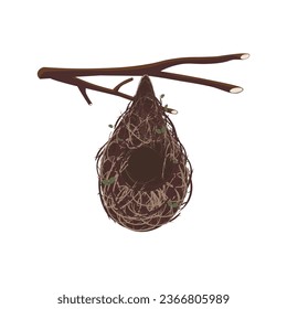 Logo illustration of a bird's nest hanging on a branch