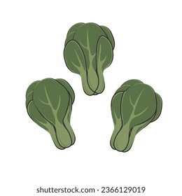 Logo Illustration of Green Bok choy cartoon