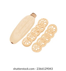 Logo Illustration Vector of cut and whole lotus roots