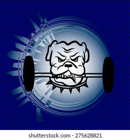 The logo with the image of a bulldog for weight training, weightlifting, bodybuilding