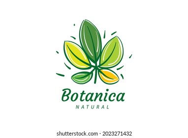 Logo with the inscription Botanica and painted leaves