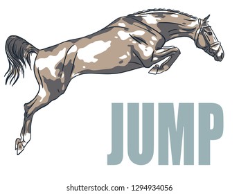 A logo of a jumping horse.