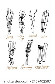 Logo juniper, white sage, lavender, cedar, mugwort, rosemary, palo santo hand-drawn minimalistic sketches. Healing, yoga, relax and meditation concept. Wood, perfumery, aromatherapy illustration