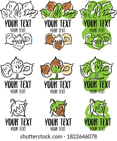 Logo, label, emblem, template with nuts and leaves