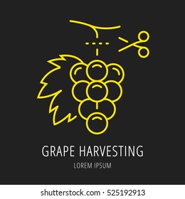 logo or label wine harvesting. Line style logotype template with grape. Easy to use business . Vector abstract or emblem. logo or label wine harvesting. Line style logotype template with grape. Easy to use business . Vector abstract or emblem.