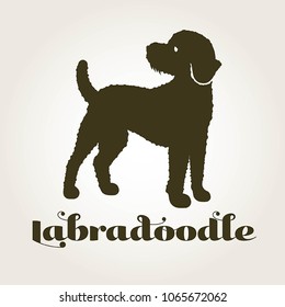 A logo of a labradoodle dog svg
