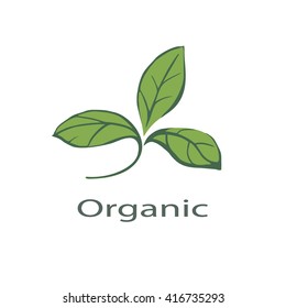 logo leaf