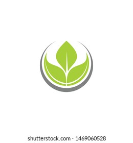logo leaf green eco icon