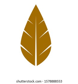 Logo Leaf Icon Vector Illustration