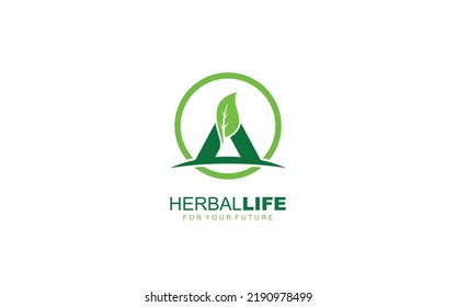 Una hoja de logo para la identidad. ilustración vectorial de plantilla de naturaleza para su marca.