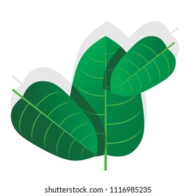 logo leaf illustration