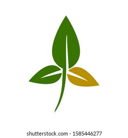 Logo Leaf Illustration Icon Design