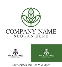 Logo leaf logo spa logo natural logo beauty
