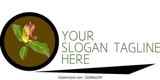 logo with leaf theme for your business