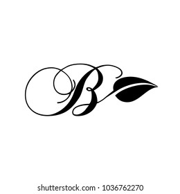 logo letter b