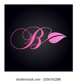 logo letter b