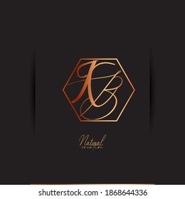 logo letters kb, bk, elegant and unique, the lines are made with a brush