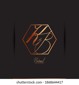 letras de logotipo kb, bk, elegante y único, las líneas están hechas con un pincel