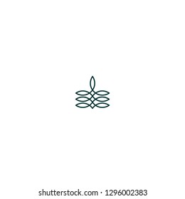logo line flower  abstract