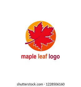 logo maple leaf , vector