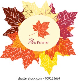  Logo with maple leaves. Isolated maple logo on white background. Red, orange, yellow leaves. Vector colorful illustration.
