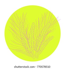 logo  mature of wheat close vector illustration