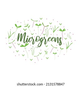  Logo with microgreens. Lettering with microgreens. Lettering with sprouts. Vector illustration in hand drawn style. Frame in the form of an oval with microgreens.